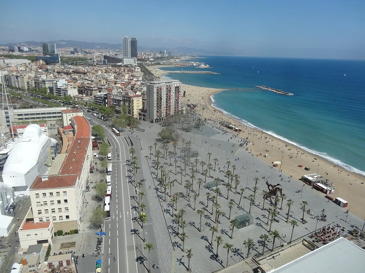 Vista elevada da orla da Barceloneta, com praias, calçadão, palmeiras e edifícios junto ao Mediterrâneo.