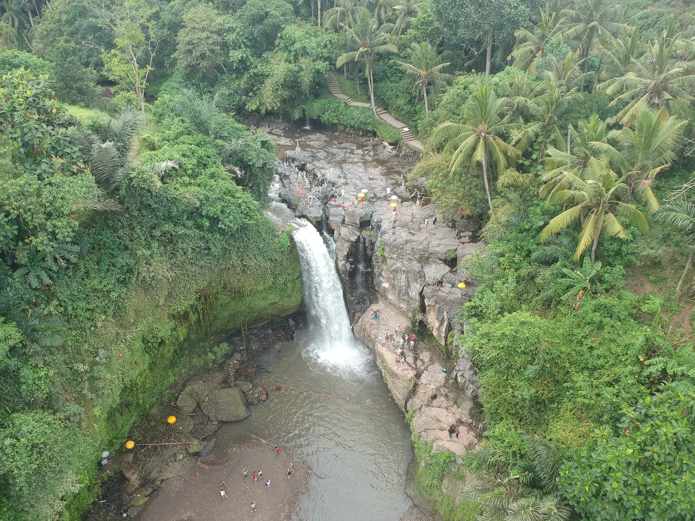 Cascada de Tegenungan vista desde arriba, rodeada de palmeras y vegetación, con pequeños visitantes junto a las rocas.