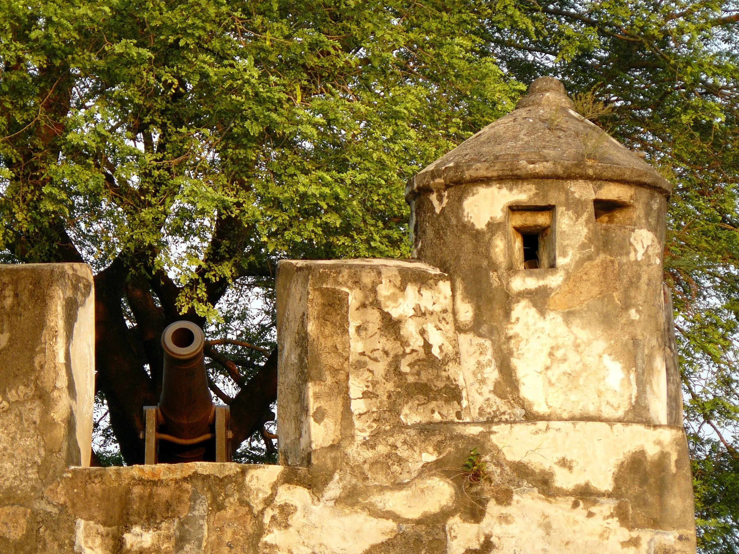 Garita de piedra y cañón de hierro sobre el muro de la Fortaleza del Monte, bajo la copa de un árbol, con luz cálida.