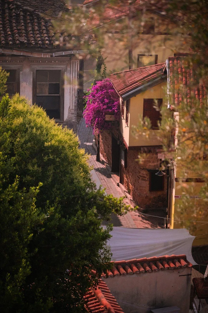 Ruela calçada de Kaleiçi entre casas de pedra e telhados de cerâmica, com uma buganvília roxa e árvores em primeiro plano.