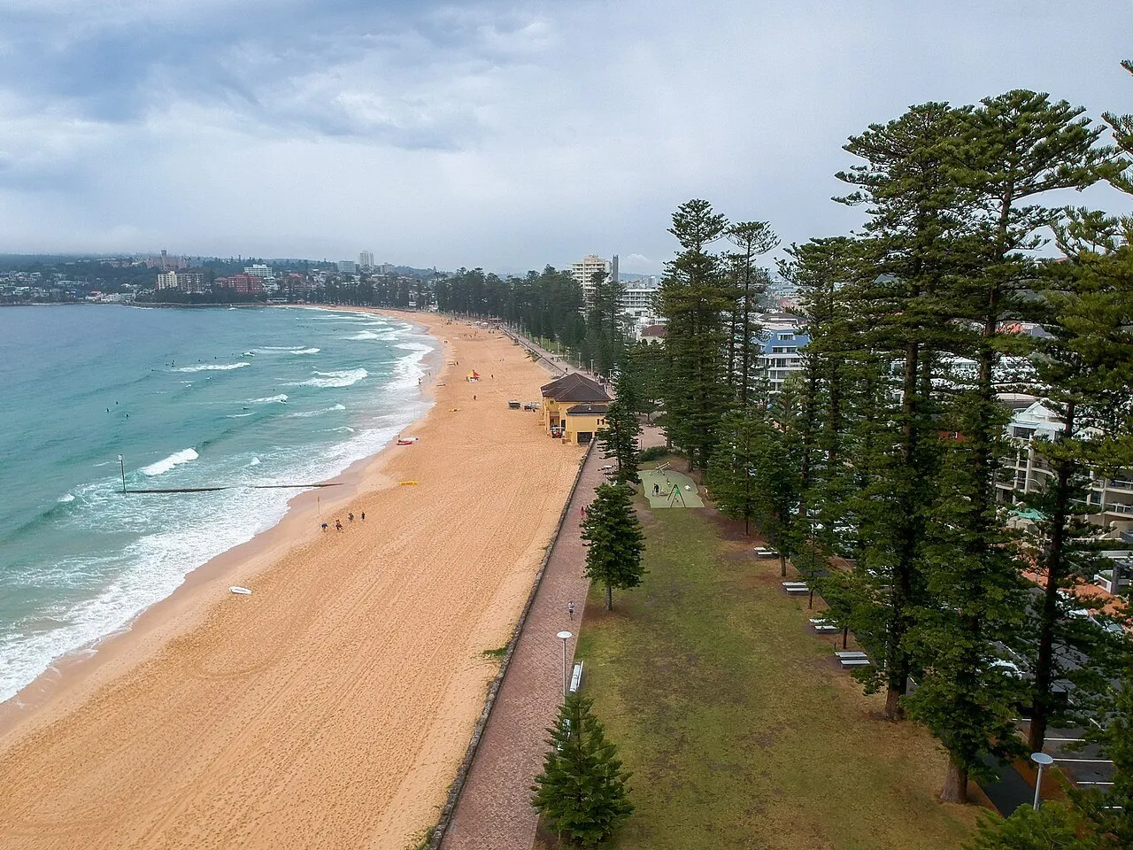 Ocean beach at Manly seen from above, with waves, sand, a promenade and a row of pines under a cloudy sky.