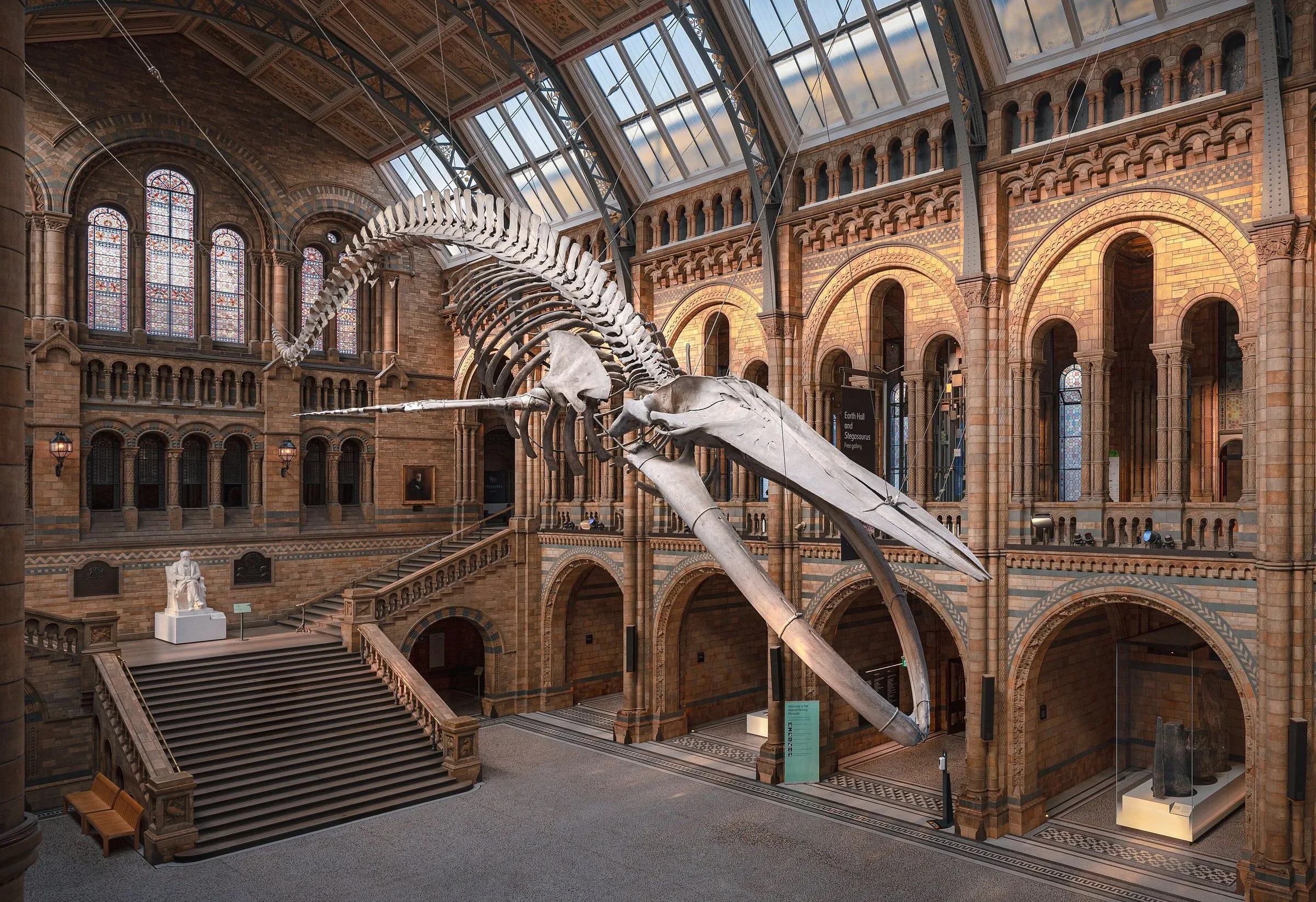Main hall of the Natural History Museum with a suspended blue whale skeleton, a staircase and terracotta arches.
