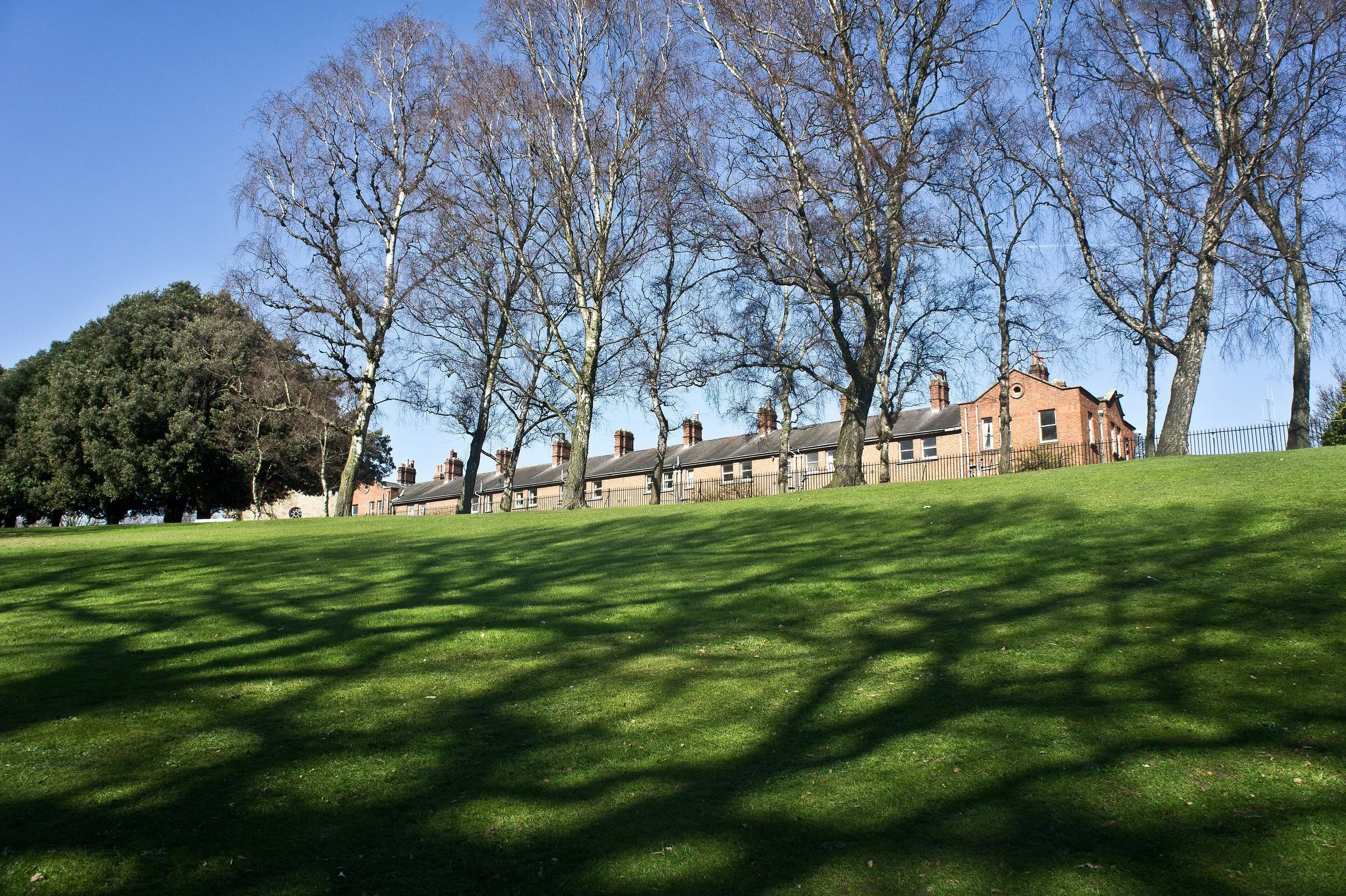 Césped de Phoenix Park con sombras de árboles sin hojas y edificio de ladrillo al fondo, bajo cielo azul.