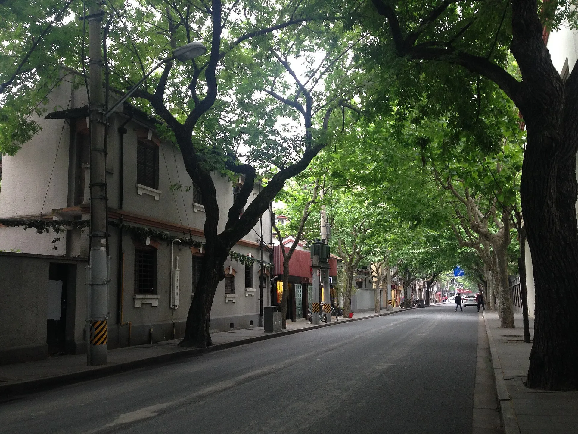 Tree-lined Wukang Road with residential facades, narrow sidewalks and a few vehicles in the background.