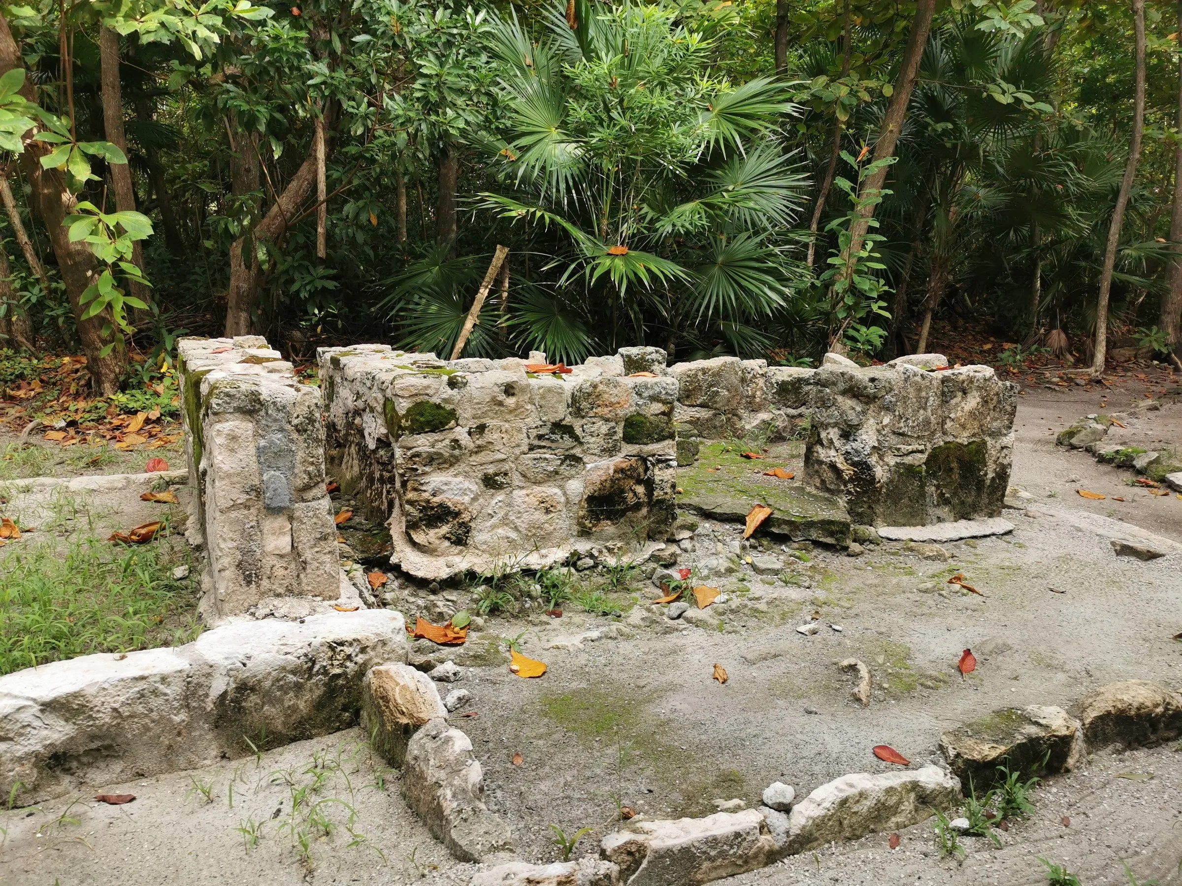 Muros baixos de pedra de San Miguelito, com vegetação e caminho de terra ao redor.